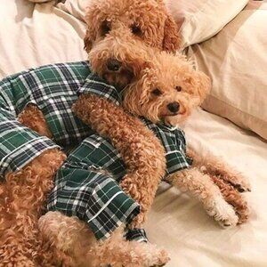 FabDog Plaid Pajamas Puppy Dog 20" Long Green Cozy Soft Flannel PJs Onesie New‎